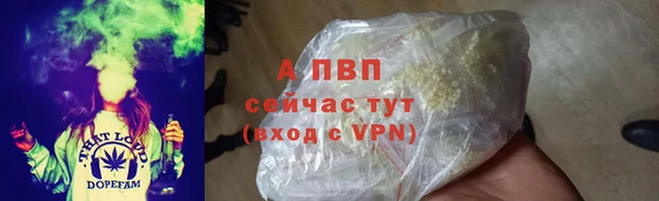 винт Верея