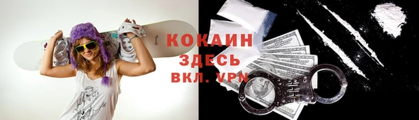 винт Верея