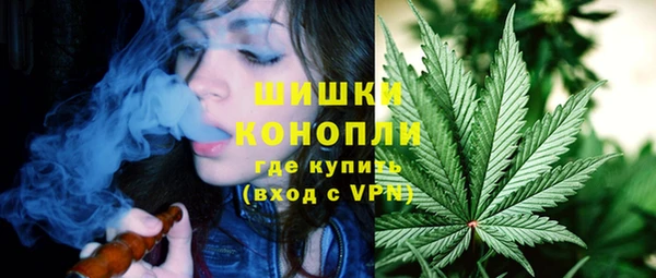 молекула духа Бронницы