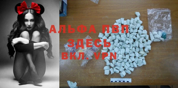 винт Верея
