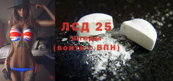 винт Верея