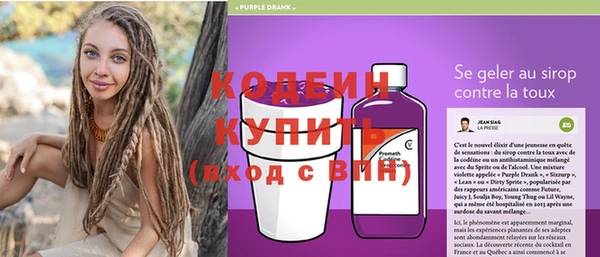 винт Верея