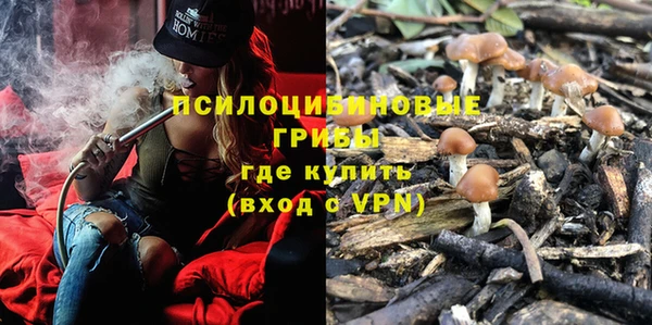 индика Верхнеуральск