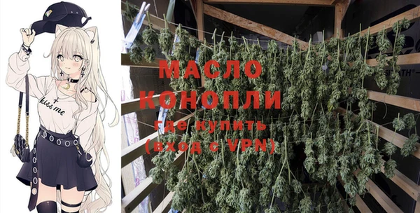 соль ск Верхний Тагил