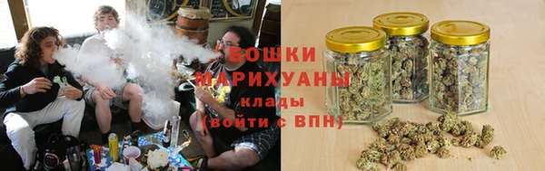 индика Верхнеуральск