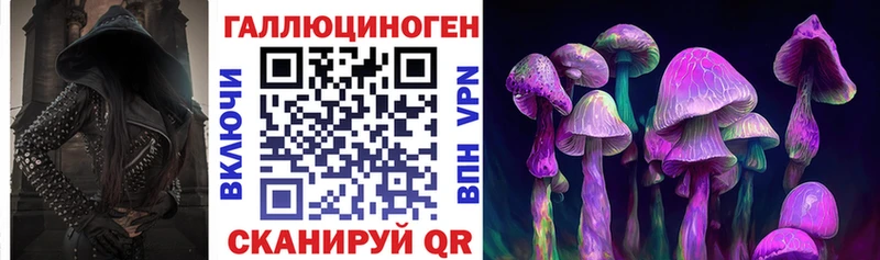 хочу   Городец  Псилоцибиновые грибы Cubensis 